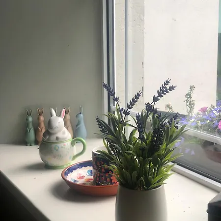 Cosy *